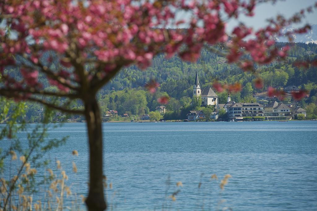 Northwest Studio Apartments Klagenfurt am Woerthersee Exteriör bild