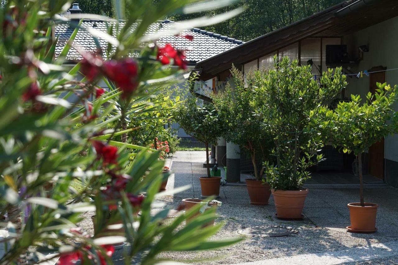 Northwest Studio Apartments Klagenfurt am Woerthersee Exteriör bild